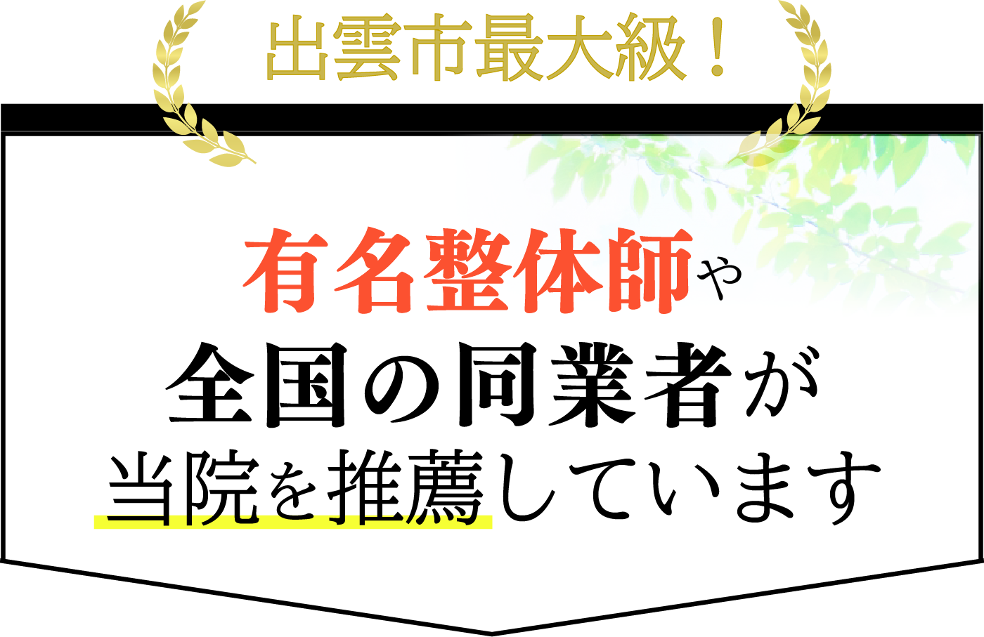 出雲市最大級！有名整体師や全国の同業者が当院を推薦しています。